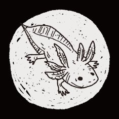 salamander doodle N5