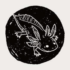 salamander doodle N6