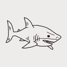 shark doodle N16