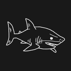 shark doodle N17