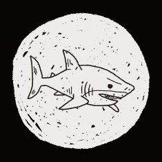 shark doodle N18