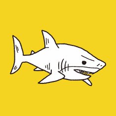 shark doodle N20