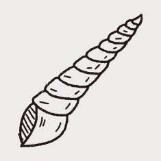 Shell doodle N19
