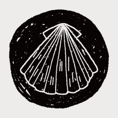 Shell doodle N39