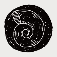 Shell doodle N40
