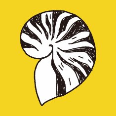 Shell doodle N42
