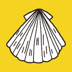 Shell doodle N45