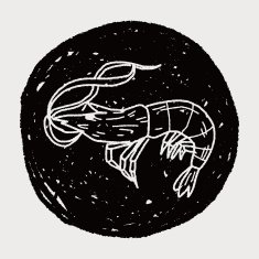 shrimp doodle N7