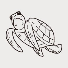 Tortoise doodle N5