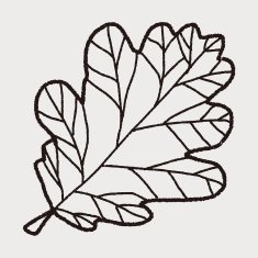 plant doodle N493