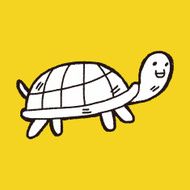 doodle tortoise N5