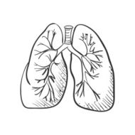 lungs doodle drawing Medical background