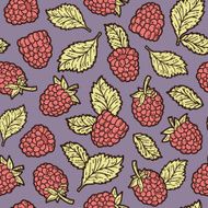 cute raspberry pattern