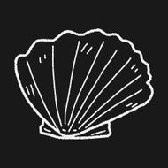 Shell doodle N48