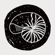 Shell doodle N51