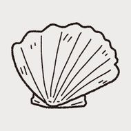 Shell doodle N53