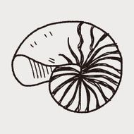 Shell doodle N54
