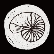 Shell doodle N57