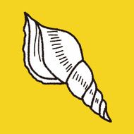 Shell doodle N58