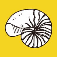 Shell doodle N60