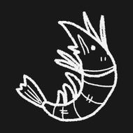 shrimp doodle N9