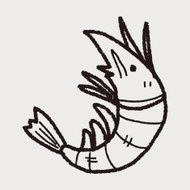 shrimp doodle N11