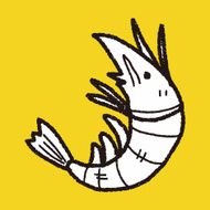 shrimp doodle N13