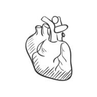 heart doodle drawing