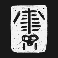 x-ray doodle N3
