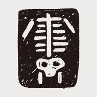 x-ray doodle N5