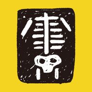 x-ray doodle N6