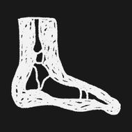 x-ray foot doodle N3