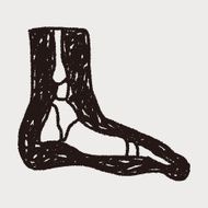x-ray foot doodle N5