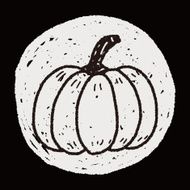 pumpkin doodle N24