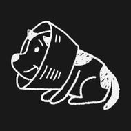 doodle dog collar N6