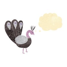 cartoon peacock with thought bubble N2