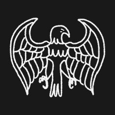 eagle doodle N7
