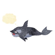 cartoon killer whale with thought bubble