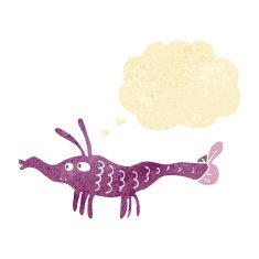 cartoon shrimp with thought bubble N2