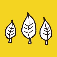 Environmental protection concept Protect our forests and ecolog N64
