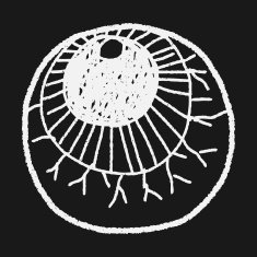 eyes ball doodle N2