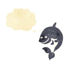cartoon shark with thought bubble N3