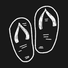 Flip flop doodle N7