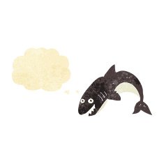 cartoon shark with thought bubble N4