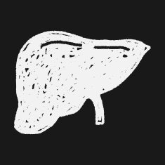 Liver doodle N3