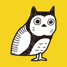 owl doodle N12