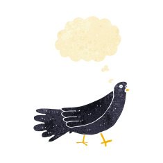 cartoon bird with thought bubble N28