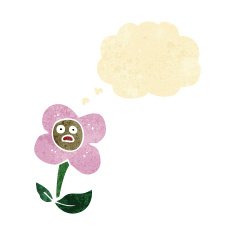 cartoon flower with face thought bubble N3