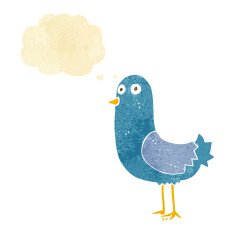 cartoon bird with thought bubble N32