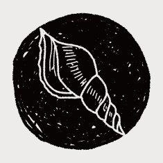 Shell doodle N50
